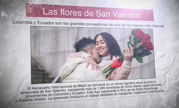 Featured image for “Las flores de San Valentín | 13 de febrero 2025”