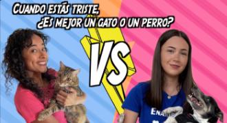 Una joven colombiana sujeta un garo y una chica española tiene un perro. Hay un cartel que dice: &quot;Cuando estás triste, ¿es mejor un gato o un perro?&quot;