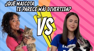 Una chica colombiano sostiene un gato y una joven española posa con su perro. Hay un cartel que dice. &quot;¿Qué mascota te parece más divertida?&quot;