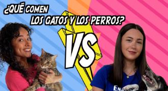 Una chica tiene un gato y otra un perro. Encima suya un rótulo dice: ¿Qué comen los gatos y los perros?