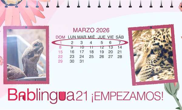 Un calendario del mes de marzo de 2026 con la foto de un jaguar y una tortuga gigante