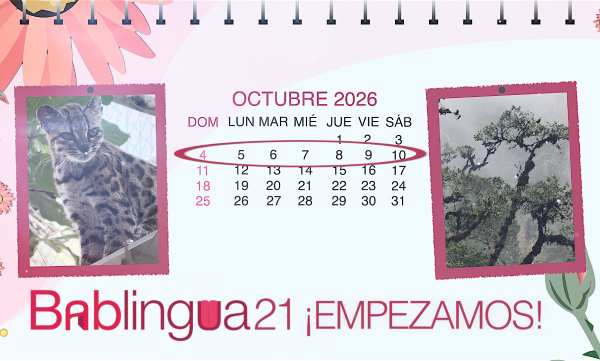 Un calendario del mes de octubre de 2026 con la imagen de un bosque boliviano y otra del gato tilcayo